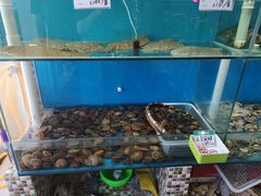 -港畔赶海蒸汽海鲜烧烤自助(仙螺岛店)