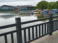 -上海长兴岛郊野公园