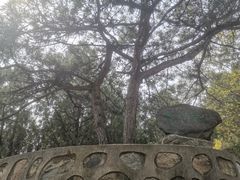 -北京鹫峰国家森林公园