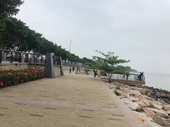-深圳湾公园(南山区)