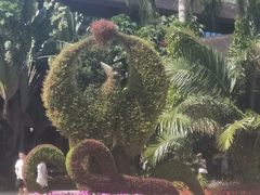 -呀诺达热带雨林