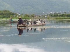 -大理洱源西湖景区