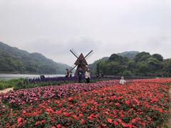 -广州市石门国家森林公园