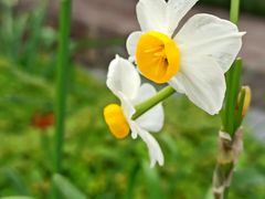 -共青国家森林公园-售票处