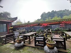 -峨眉山报国寺
