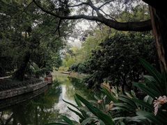 -荔湾湖公园