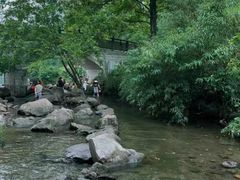 -重庆彩云湖湿地公园
