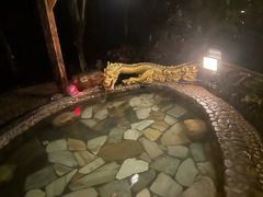 -明月山天沐温泉度假村