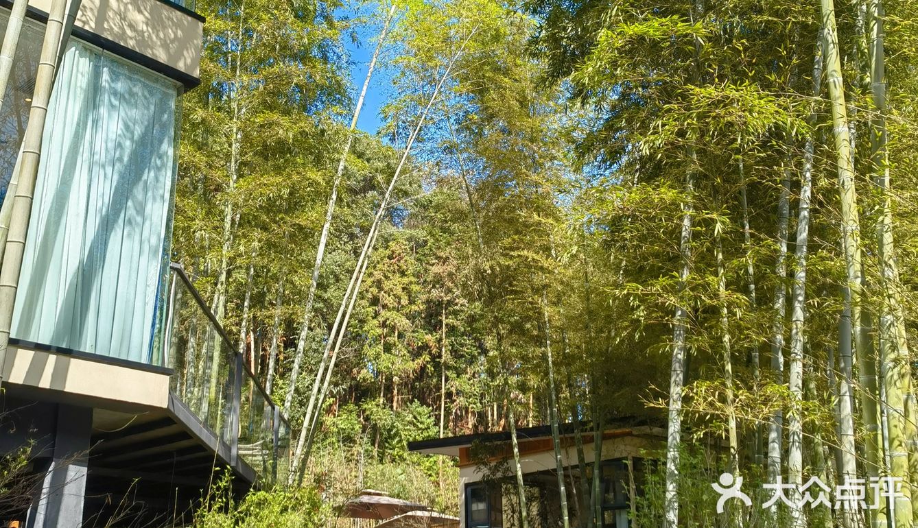 长沙周边竹林餐厅