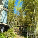 长沙周边竹林餐厅