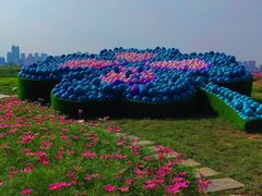 -汉江湾体育公园