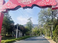 -北京凤凰岭
