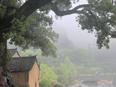 -杨家堂村
