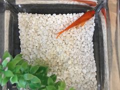 -扬州东关街文昌阁桔子水晶酒店