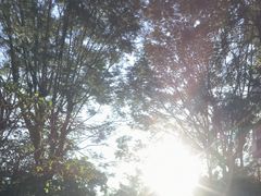 -人民公园(罗湖区)