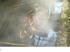 -华大咖啡(华大时空中心店)