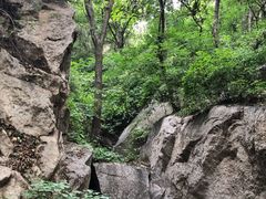 -大岭沟猕猴桃谷风景区