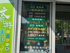-东平国家森林公园