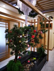 -芳朵美容养生SPA