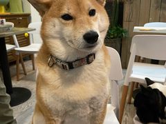 -小时光咖啡馆(北锣鼓巷店)