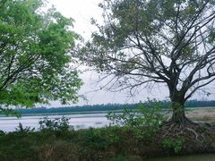 -大湾区中央湿地公园