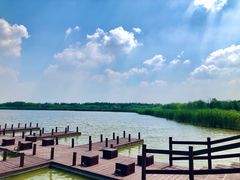 -西青郊野公园