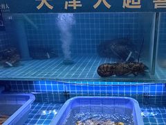 -悦海·家宴·冰花皮皮虾大锅贴(宝龙店)