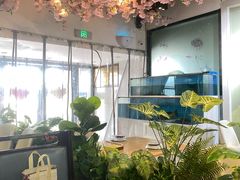 -丁老爷子苏香圆