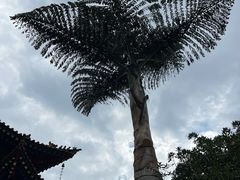 -圆通禅寺
