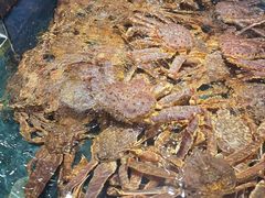 -龙宴海鲜城(经中路店)