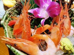 -魔丼屋(日月光店)