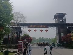 -泗洪洪泽湖湿地景区