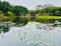 -云溪植物园