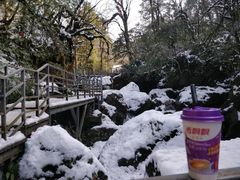 -龙苍沟森林公园