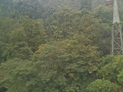 -青城山
