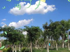 -天津东丽湖风景区