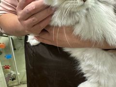 -酷狗靓猫宠物·洗护·美容·寄养(航北路店)