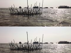 -洞里萨湖
