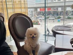 -Angelina安吉丽娜(恒隆广场店)