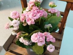 -南京财经大学（仙林校区）-图书馆