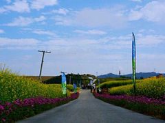 -光明小镇欢乐田园