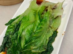 -金鼎轩(方庄天坛店)