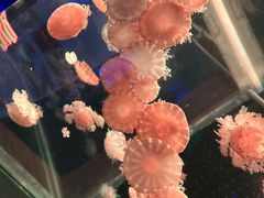 -多彩贵州城极地海洋世界