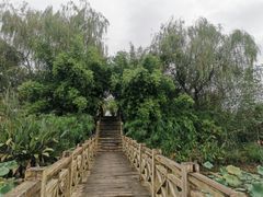 -桤木河湿地公园