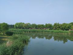 -尚贤河湿地