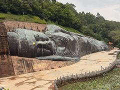 -三水森林公园