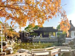 -八大山人梅湖景区