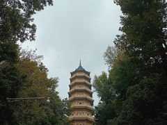-灵谷景区