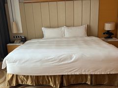 -深圳温德姆至尊酒店
