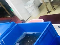 -象山小白象海鲜面